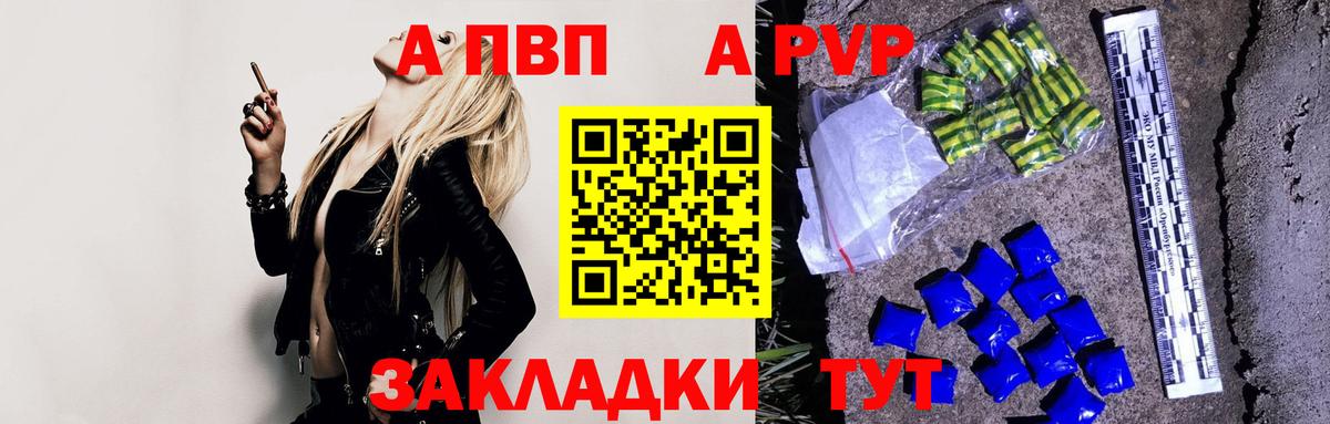 Alfa_PVP СК Орехово-Зуево