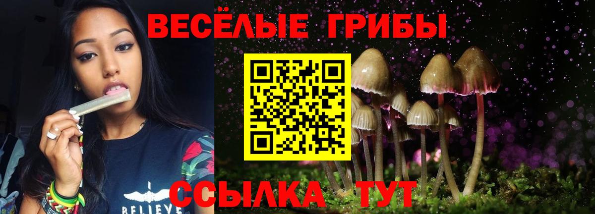 Псилоцибиновые грибы Psilocybine cubensis Орехово-Зуево
